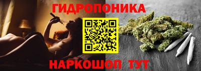 индика Пыть-Ях