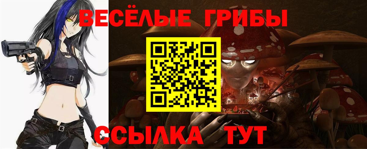 Псилоцибиновые грибы прущие грибы  Галлюциногенные грибы прущие грибы  Саранск  Вход с VPN 
